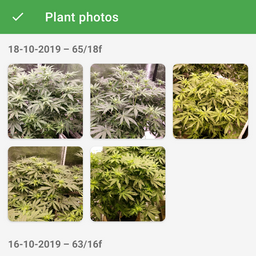 plant photos