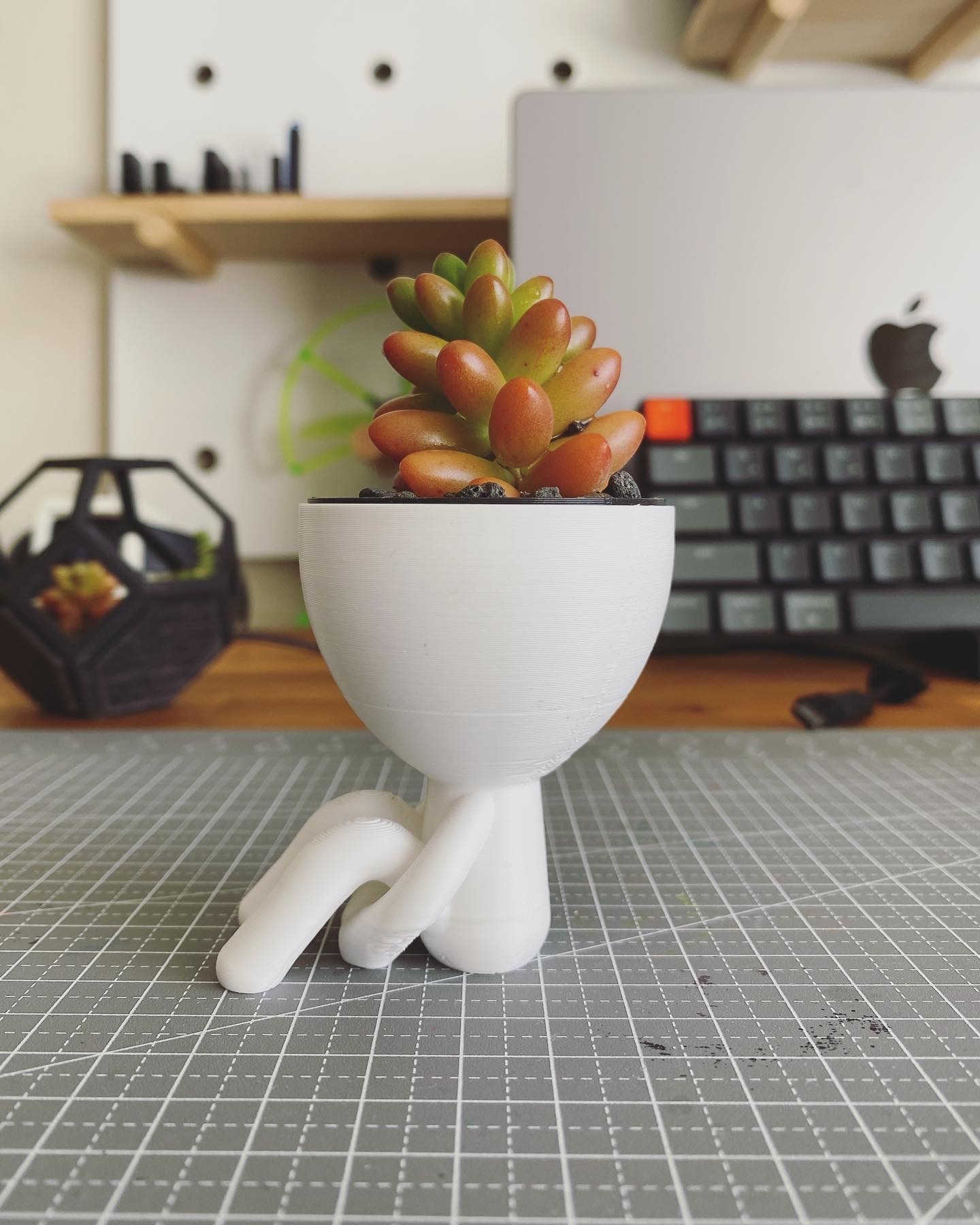 Add low maintenance succulent plants to my work from home desk setup