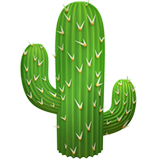 apple version: Cactus