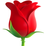 apple version: Rose