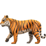 apple version: Tiger