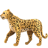 apple version: Leopard