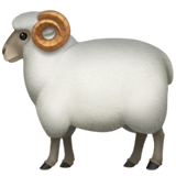 apple version: Sheep