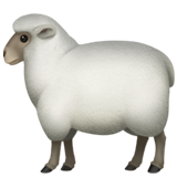 apple version: Sheep