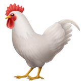 apple version: Rooster