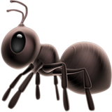 apple version: Ant