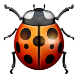 apple version: Lady Beetle