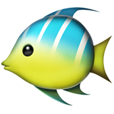 apple version: Tropical Fish