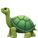 apple version: Turtle