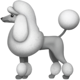 apple version: Poodle