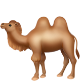 apple version: Two-Hump Camel