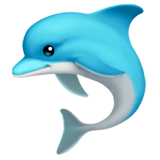 apple version: Dolphin