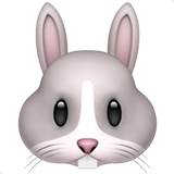 apple version: Rabbit Face