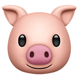 apple version: Pig Face