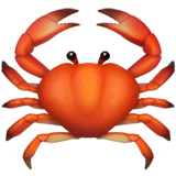 apple version: Crab