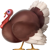 apple version: Turkey