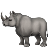 apple version: Rhinoceros