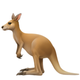 apple version: Kangaroo