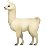 apple version: Llama