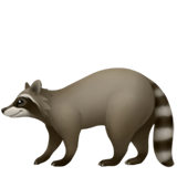 apple version: Raccoon