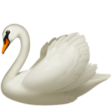 apple version: Swan