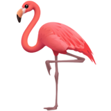 apple version: Flamingo