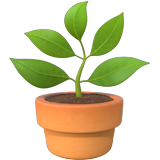 apple version: Potted Plant