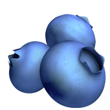 apple version: Blueberries