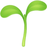 facebook version: Seedling