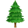 facebook version: Evergreen Tree