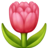 facebook version: Tulip