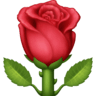 facebook version: Rose