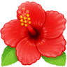 facebook version: Hibiscus