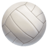 facebook version: Volleyball