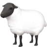 facebook version: Sheep