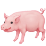 facebook version: Pig