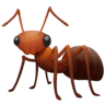 facebook version: Ant