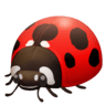 facebook version: Lady Beetle