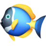facebook version: Tropical Fish