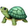 facebook version: Turtle