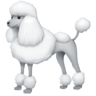 facebook version: Poodle