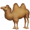 facebook version: Two-Hump Camel