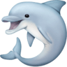 facebook version: Dolphin