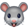 facebook version: Mouse Face