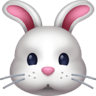 facebook version: Rabbit Face