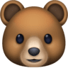 facebook version: Bear Face