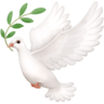 facebook version: Dove of Peace