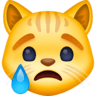 facebook version: Crying Cat Face
