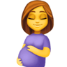 facebook version: Pregnant Woman