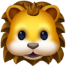 facebook version: Lion Face